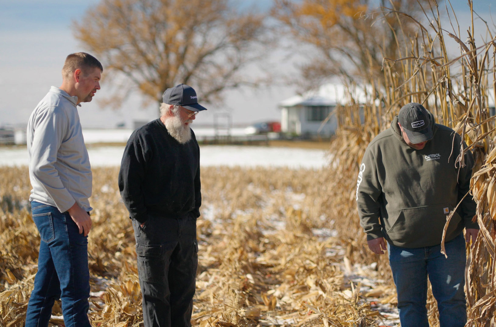 Three men stand in a harvested cornfield with dried stalks, examining the ground on a sunny day. A house and leafless trees are visible in the background.