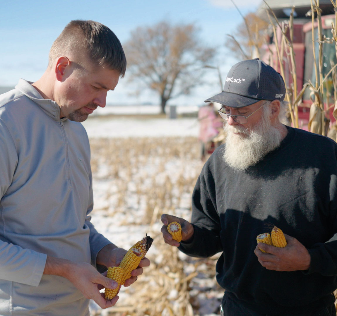 Two men standing in a cornfield examine ears of corn together. The man on the left wears a gray shirt, and the man on the right wears a cap and glasses. Some snow is visible on the ground and in the background.