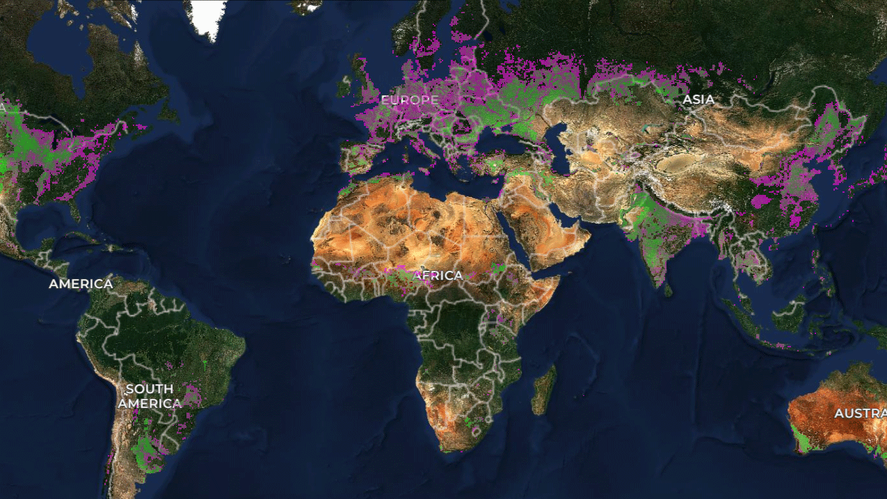 World map showing agricultural field locations highlighted in pink and green.