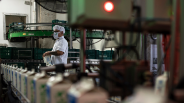 Worker in a factory filling cartons on a production line with green bins and machinery.