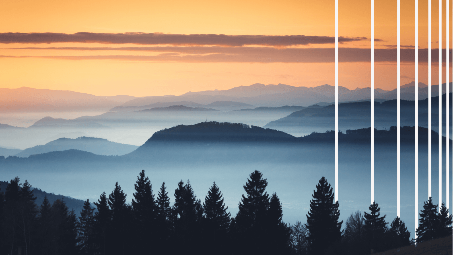 Alt text: Misty mountain landscape at sunrise with layered hills, evergreen trees, and white vertical graphic lines.