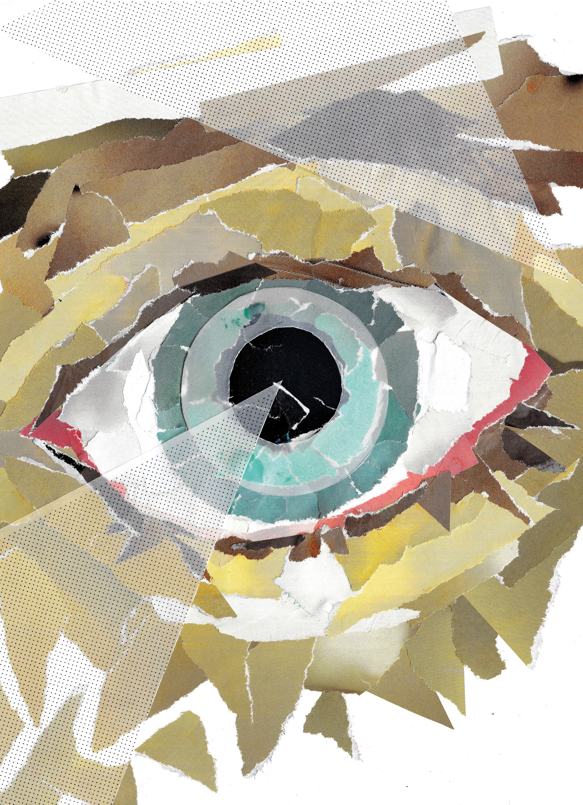 A colorful, torn-paper collage of a human eye with blue and green hues, surrounded by jagged brown, yellow, and white paper pieces, creating a striking, abstract effect. Geometric shapes overlay the eye.