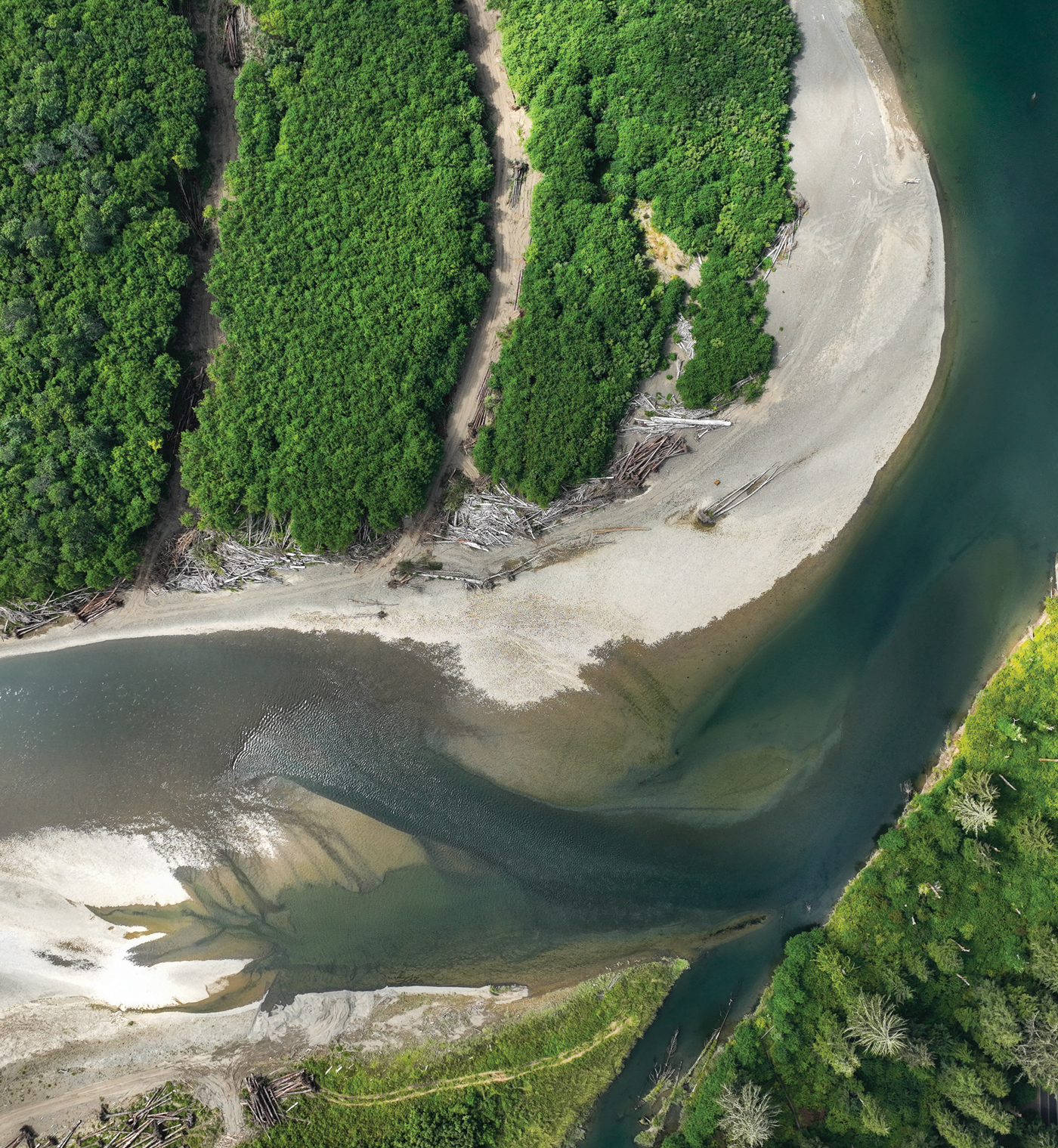 A river flowing through a forest.