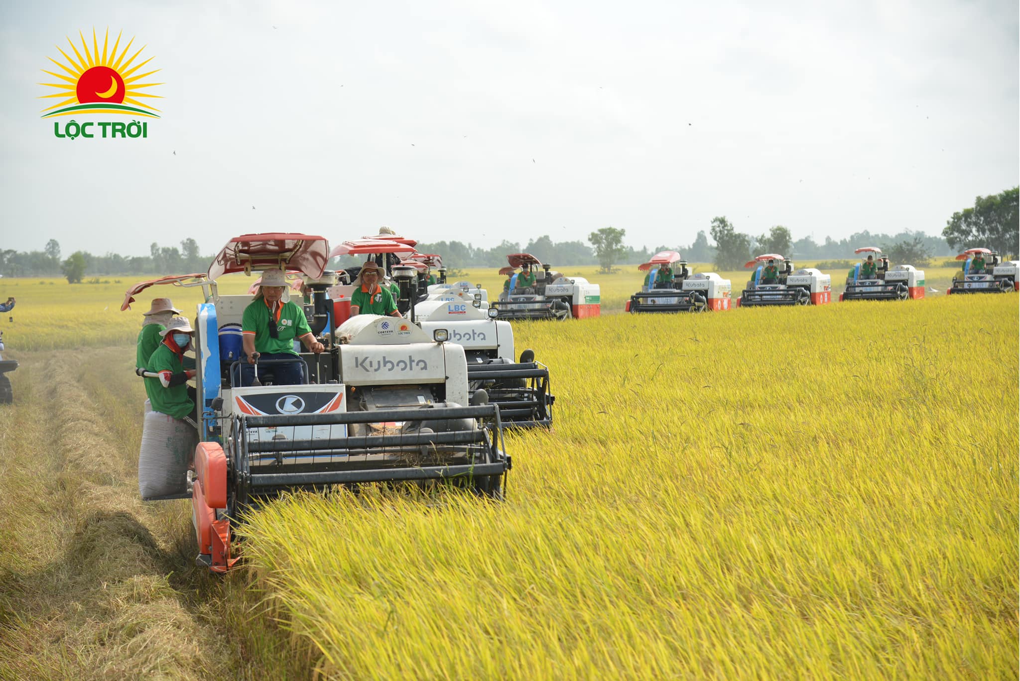 large ride-on lawn mowers cutting grass