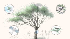 A sketch of a tree with elements around it highlighted like drones, satellite, cctv cameras