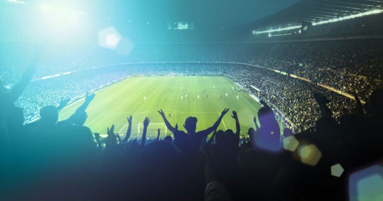 A stadium full of people watching a football match with people standing and cheering in the foreground.