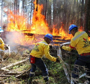 Bomberos sudafricanos responden a un incendio forestal en el área forestal de Edson, en el centro de Alberta, el 7 de junio de 2023. Foto del Gobierno de Alberta.