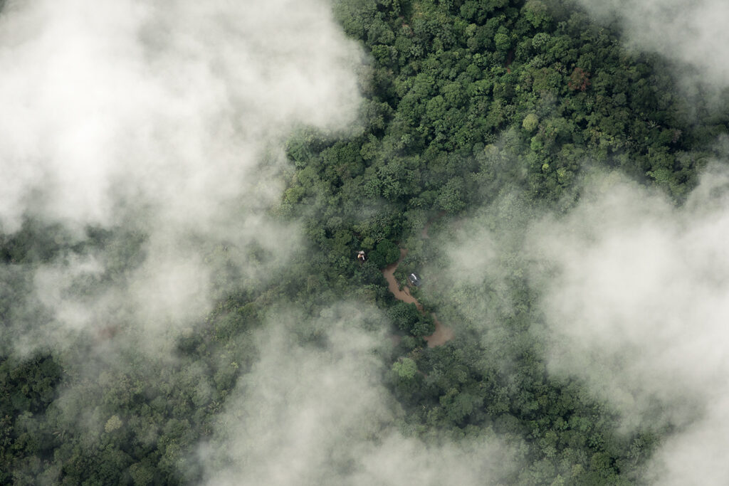 An aerial view of a rainforest covered partially in clouds