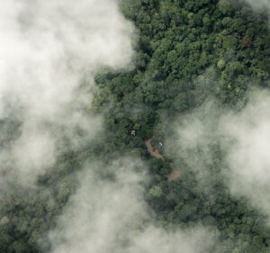 An aerial view of a rainforest covered partially in clouds