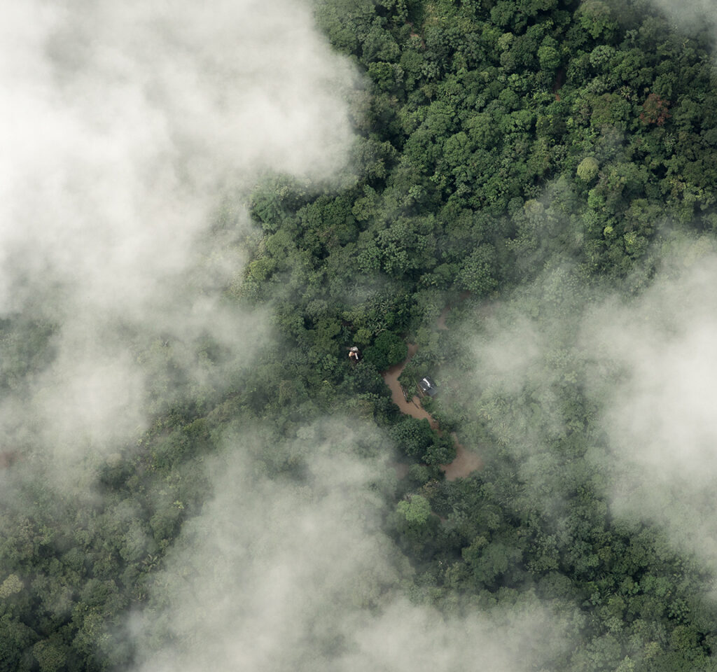 Uma vista aéra de uma floresta tropical coberta parcialmente por nuvens