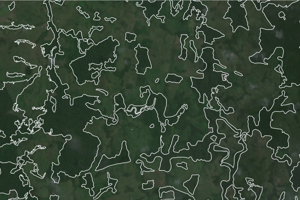 Imagem de satélite com contornos brancos em torno da floresta tropical.