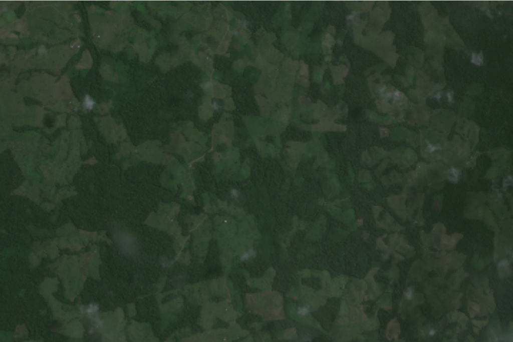 Satellite image of rainforest
