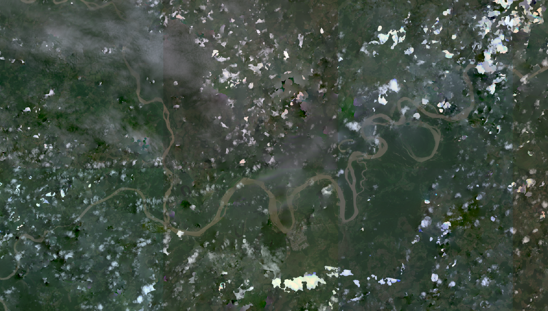Satellite image of a river in a rainforest