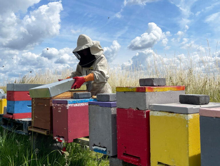 Morgane Dron cuida las abejas en la oficina y el laboratorio de BeeOdiversity cerca de Nivelles, Bélgica