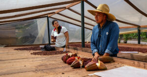 Un hombre y una mujer están detrás de un banco de madera con granos y mazorcas de cacao.