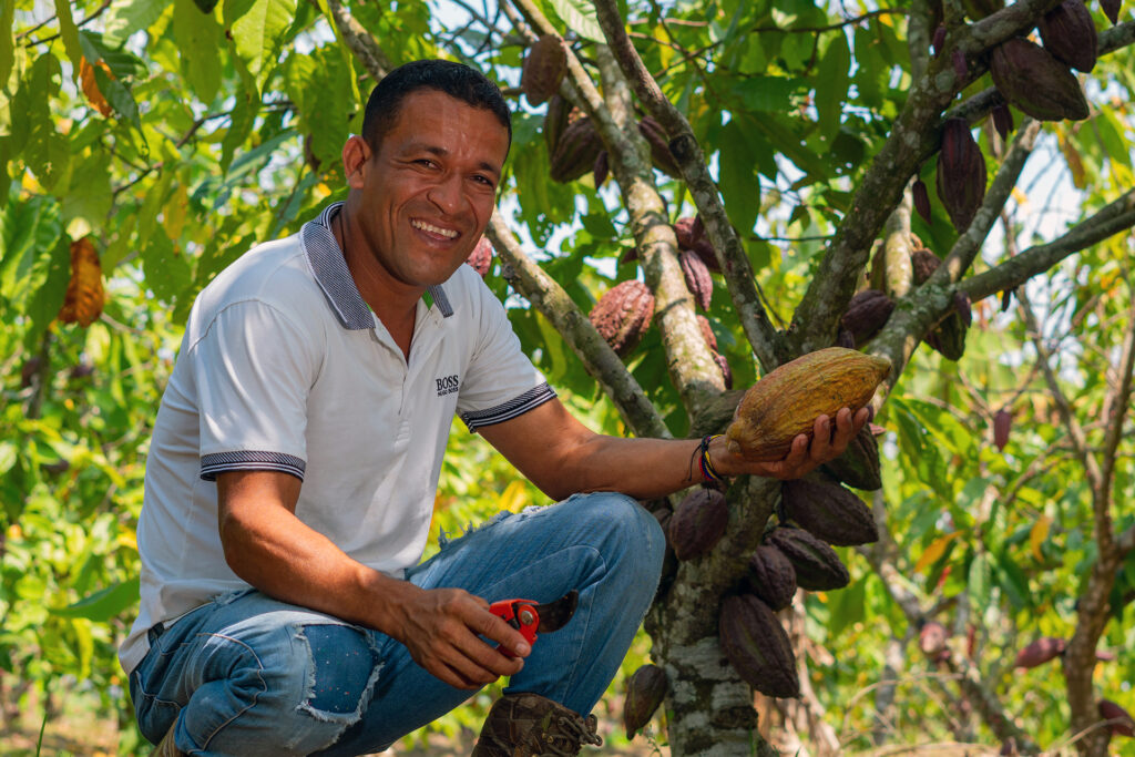 Un hombre sostiene una vaina de cacao frente a un árbol de cacao.