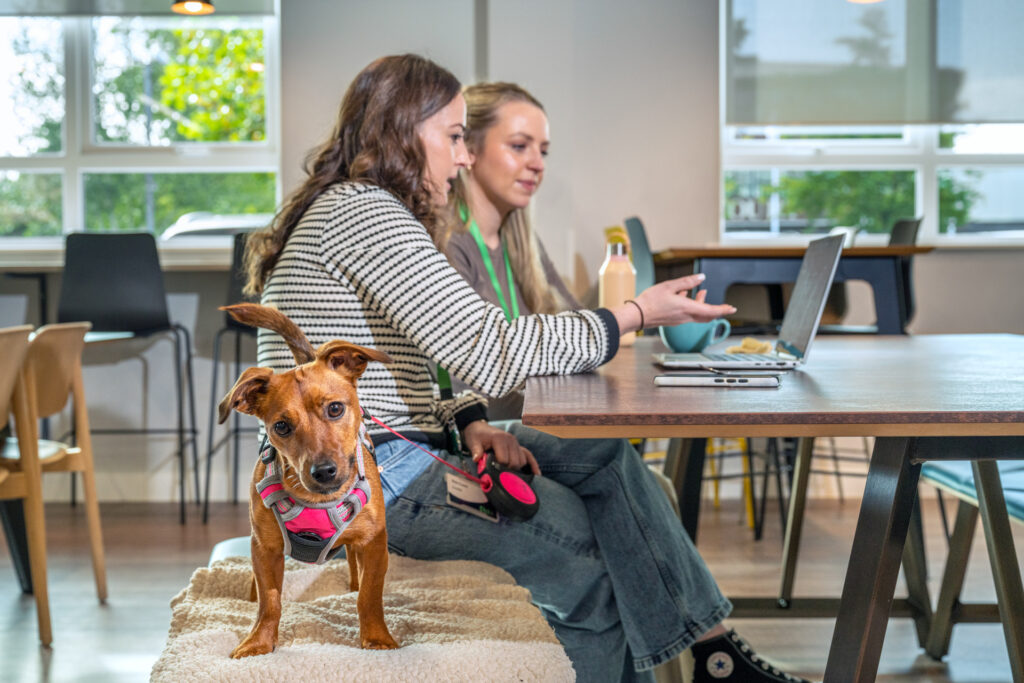 Dos mujeres observan una laptop con un perro sentado junto a ellas