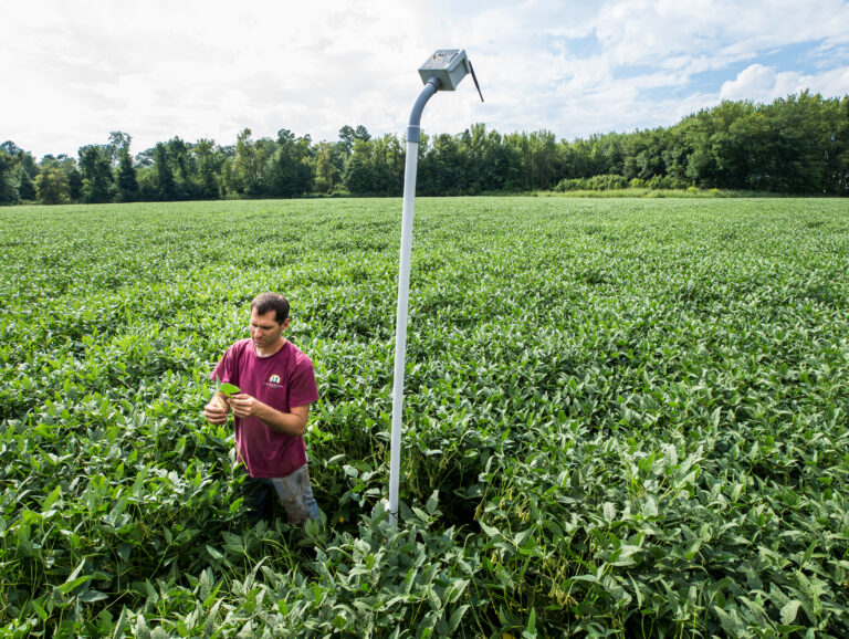 A man stands in a field next to a pole with a sensor on it