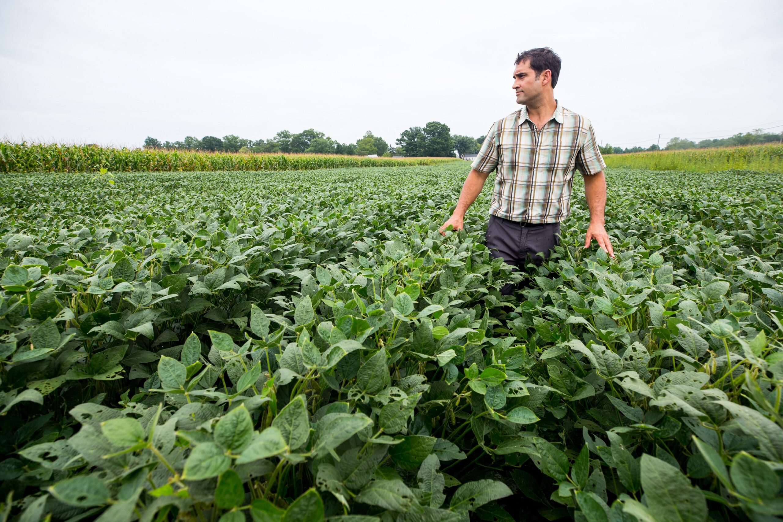 Photo of Steven Mirksy, a research ecologist at the USDA, standing in a field in Beltsville, Maryland.
