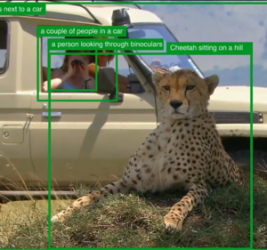 People in a vehicle taking photos of a sitting cheetah, surrounded by AI generated descriptions of what's going on in the photo