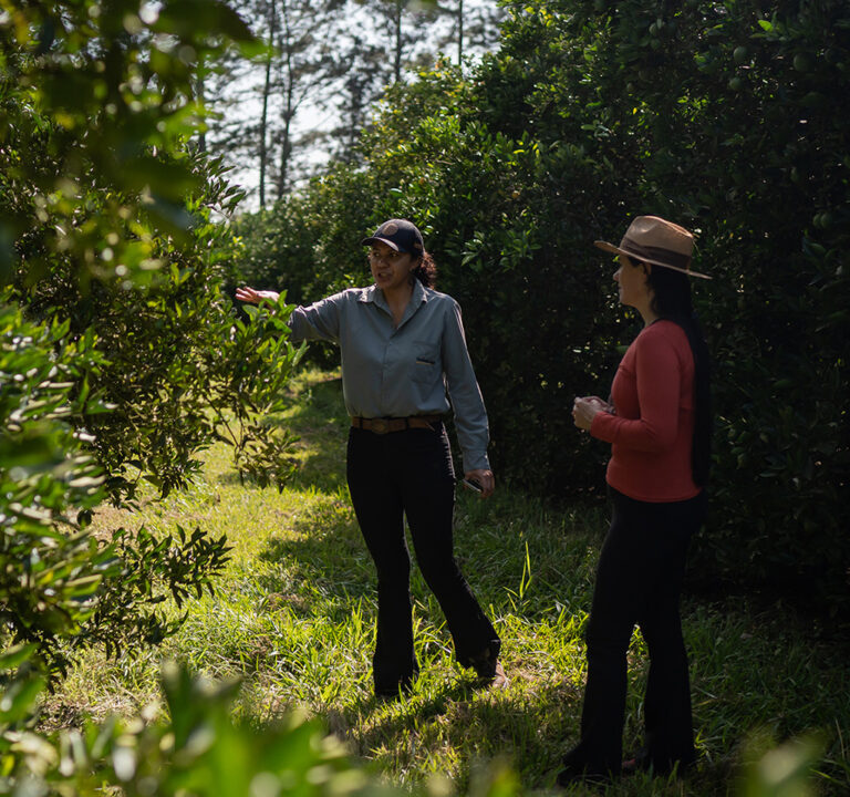 Two women talking in an orchard