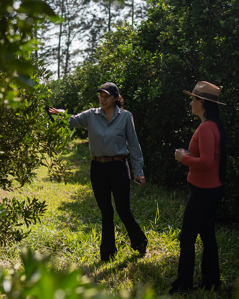 Two women talking in an orchard