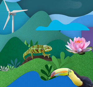 Colorful scenery overlaid with a toucan, lizard, plants and a wind turbine
