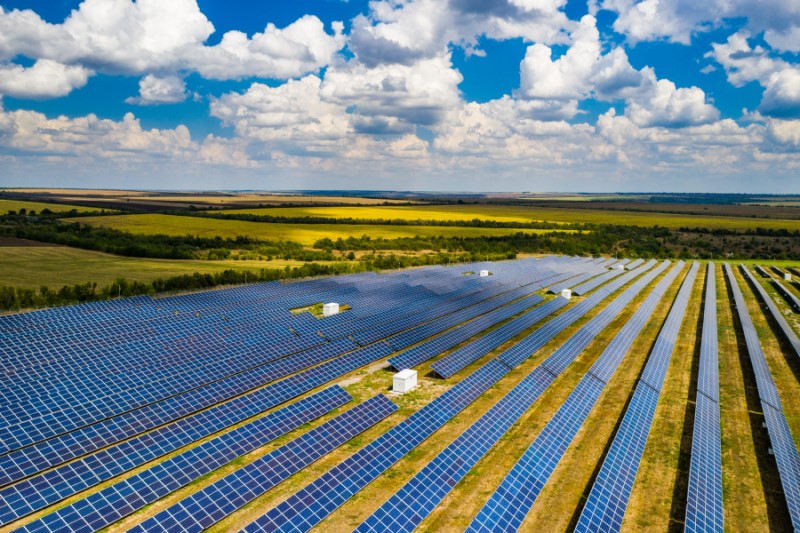 Field covered with rows of solar panels