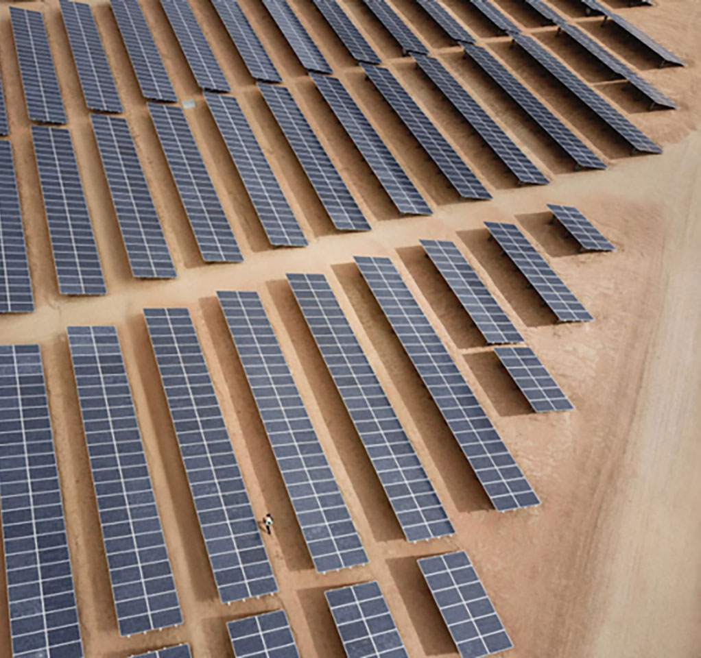 Dozens of solar panels