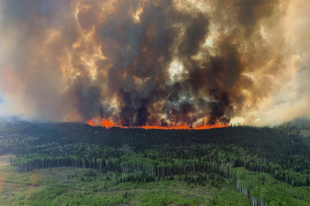 A large fire line in a forest with dark smoke billowing into the sky