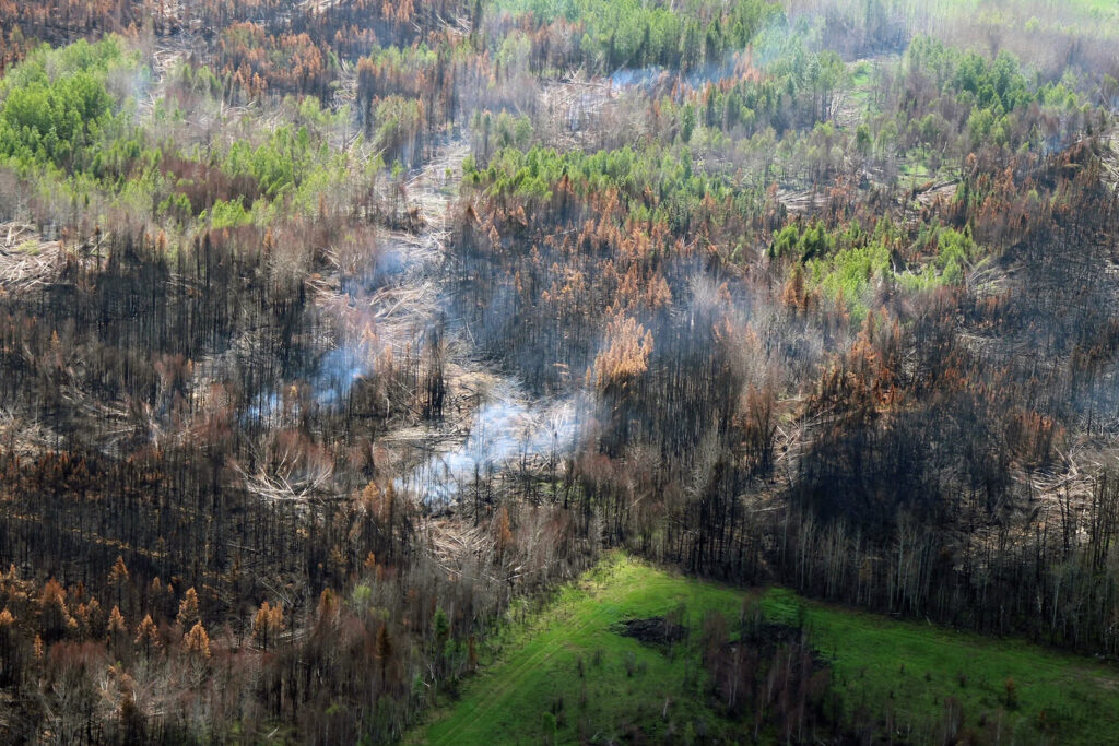 An aerial view of a burned out forest