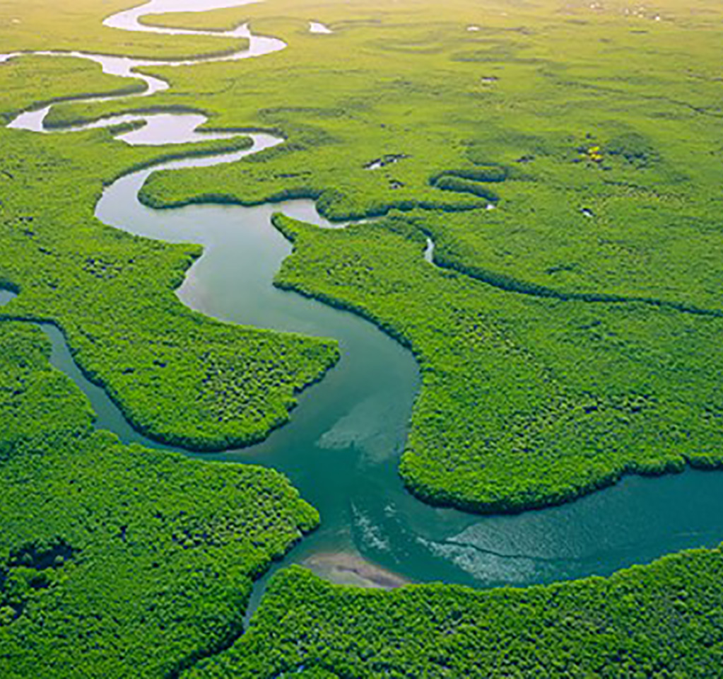 River meandering through green landscape