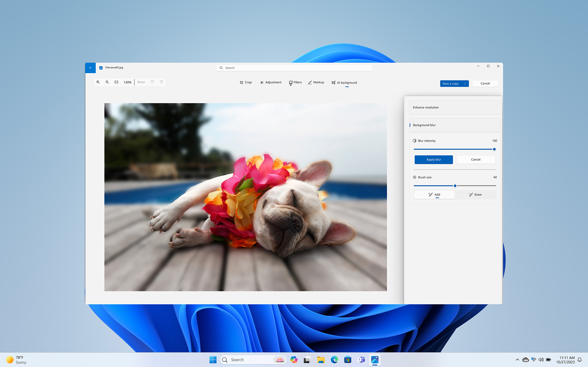 Screenshot of Photos app with French bulldog lying on its side smiling at camera
