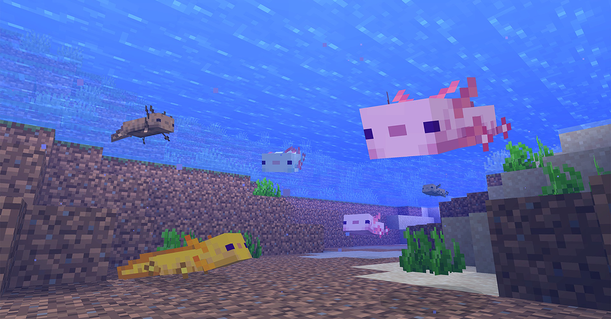 Minecraft environment showing axolotl and fish underwater