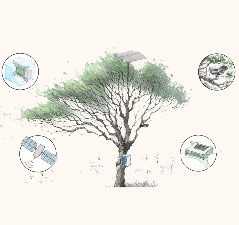 Image of a tree surrounded by monitoring and communications devices