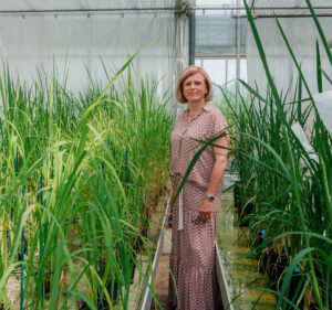 A woman in a greenhouse with rows of plants.