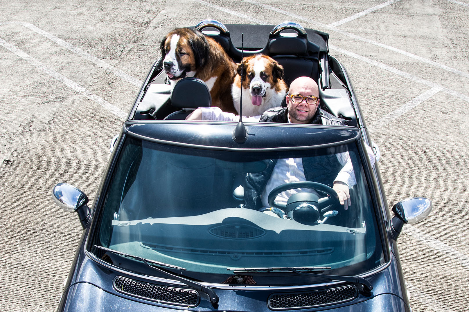 Scott with his dogs in his car