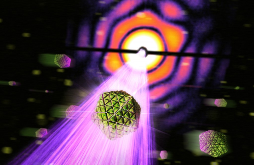 Una imagen laser de rayos X de alta resolución representa una célula bacterial impactada por un pulso de rayos X en SLAC. (Foto cortesía SLAC)