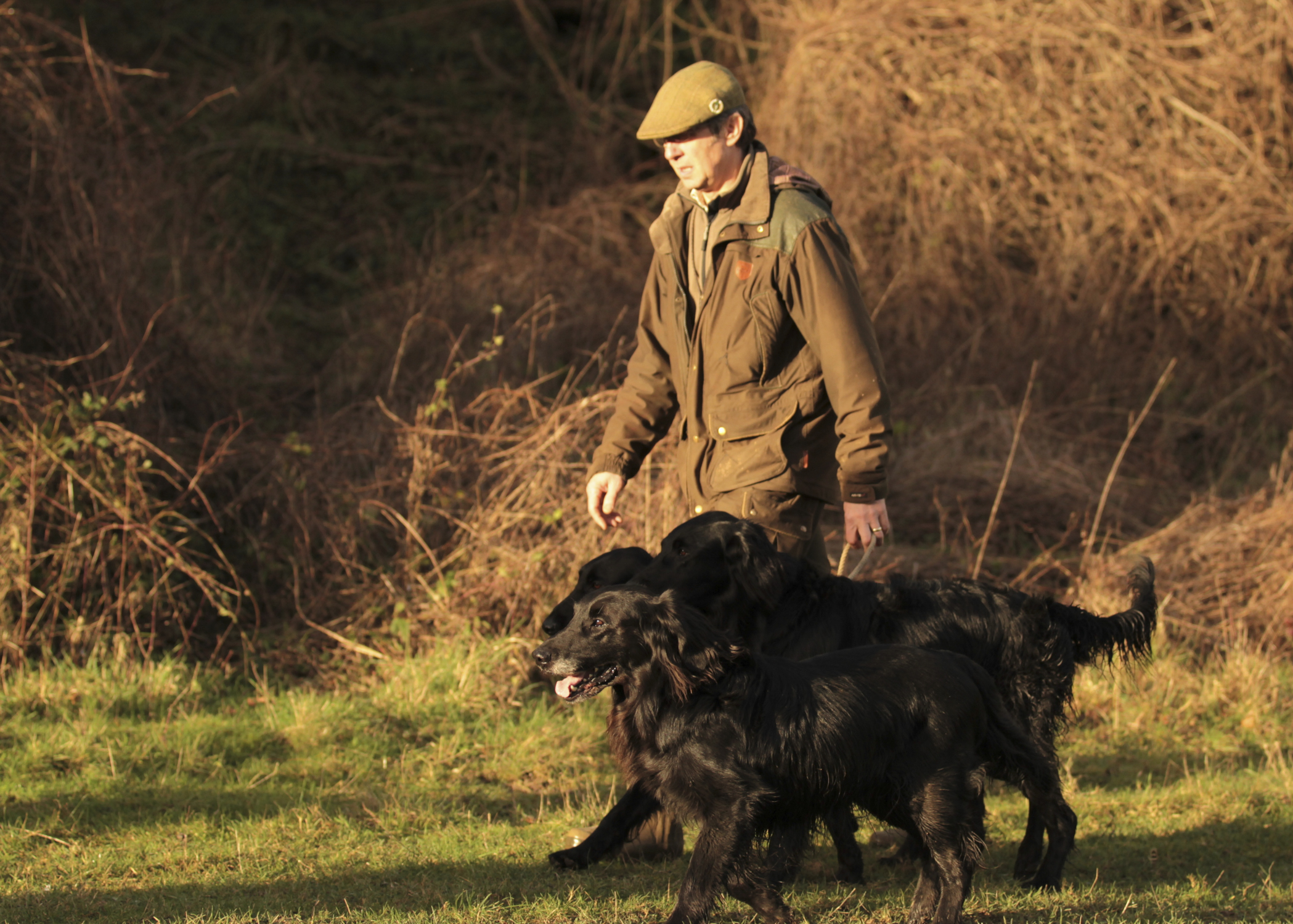 James Potter and his gundogs
