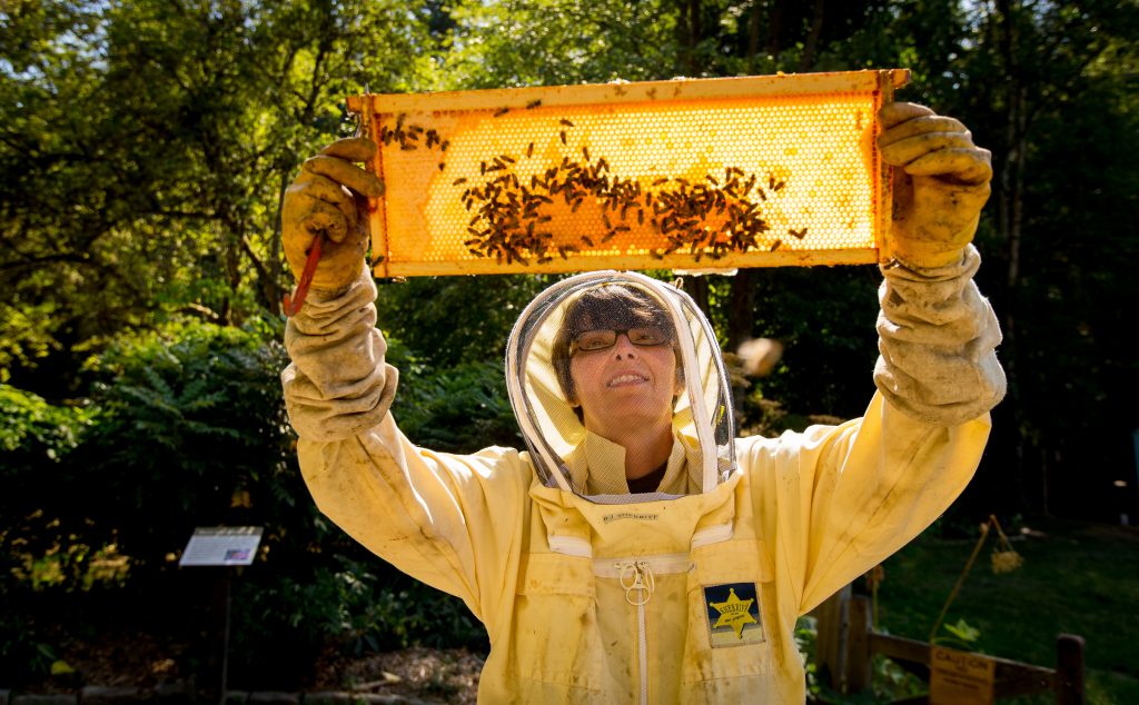 Krista Conner of Microsoft in a beekeepers suit as she works with bees