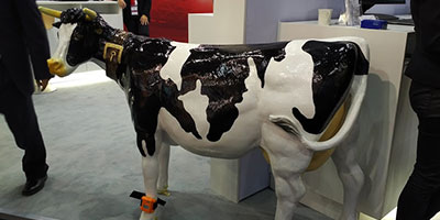 Трекер Fujitsu для коров. Источник http://www.gadgette.com/2016/02/22/fujitsu-have-made-a-wearable-for-cows/