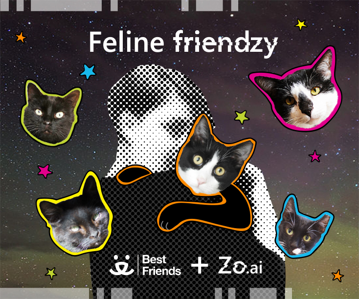 Zo спрашивает, хочет ли собеседник присоединиться к акции Feline Friendzy