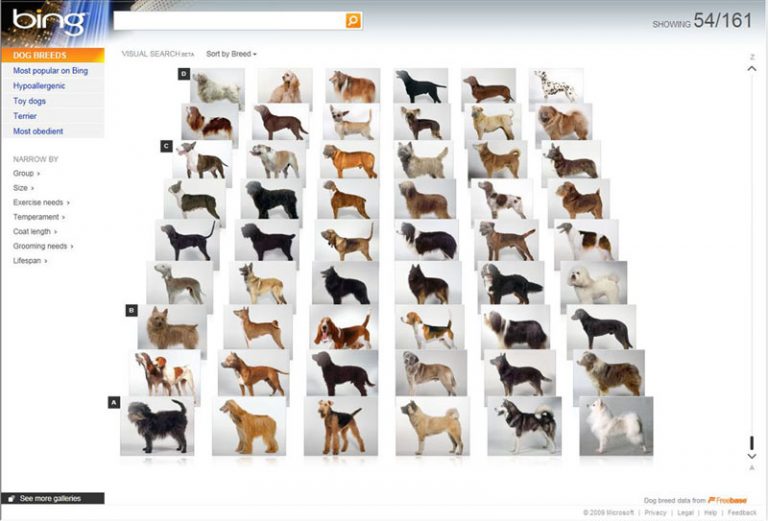 Bing Visual Search Beta Example: Dog Breeds