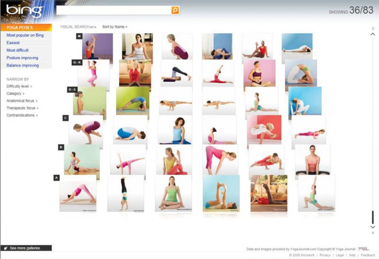 Bing Visual Search Beta Example: Yoga Poses