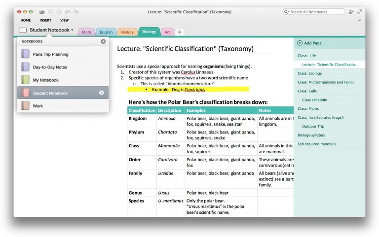 OneNote is the perfect tool for students organizing class notes or research projects.
