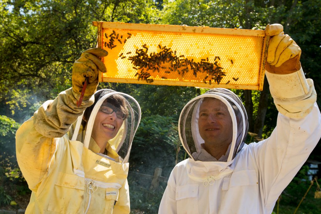 About Beekeeper Studio - Software Development company in United States