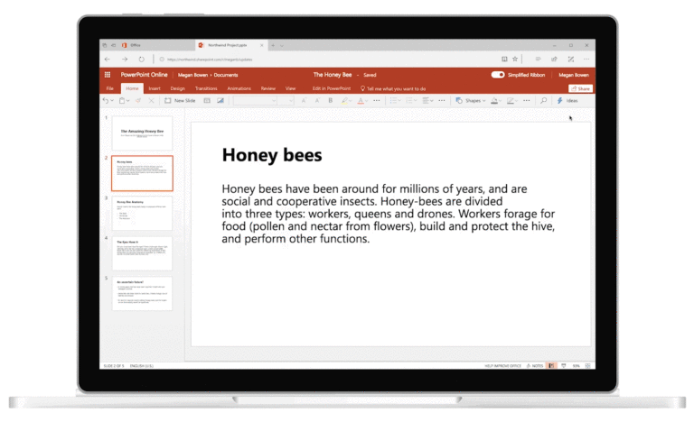 Honey bees copy in PowerPoint