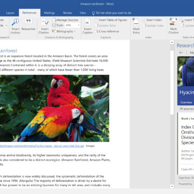 Screen displaying Researcher for Word