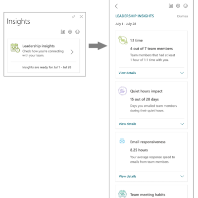 Leadership Insights screen