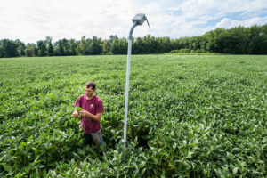 Photo of a worker at Harborview Farms in Rock Hall, Maryland, standing in a field next to a sensor that extends from the field on a pole.